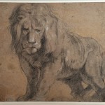 Rubens, Lion