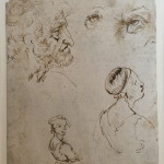 Leonardo, A Sheet of Studies