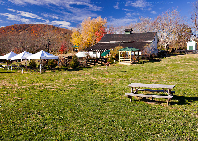 Aspen Dale Winery